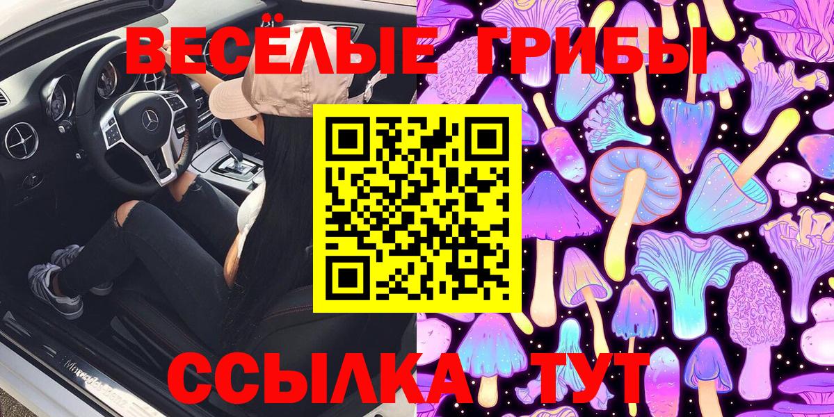 Галлюциногенные грибы ЛСД  Вход с VPN  Ессентуки 